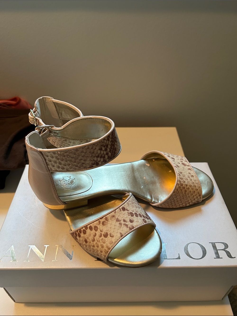 Ann Taylor Iris Sandal 6